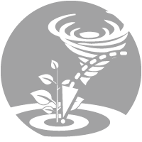 Gezielt und windunabhängig Kalken mit Granukal!